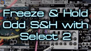 Video thumbnail for 'Freeze & Pass' weird sample & hold from the Joranalogue Select 2 by DivKid