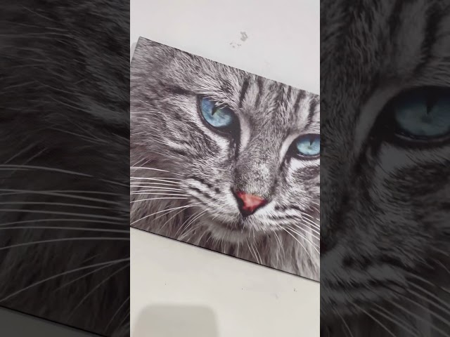 Vídeo relacionado con Estatua Gatito Abstracto, Adorno Moderno para Salón, Figura Decorativa Artística de Mascota, Ornamento Arte para Casa, Hogar, Escritorio (Rosa)