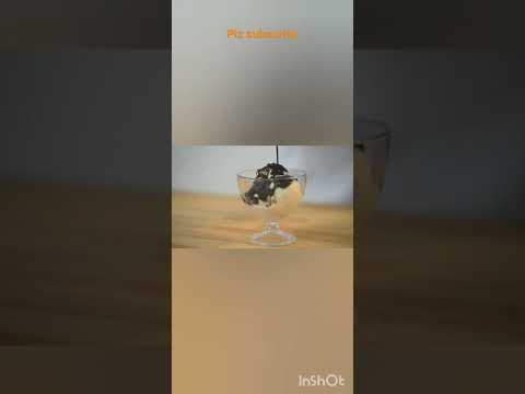 ice cream 🍦 😋 with chocolate 🍫 😋 😍 #icecream#chacolate #shorts