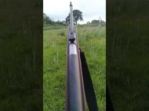 5.5 rifle at 50 meters.