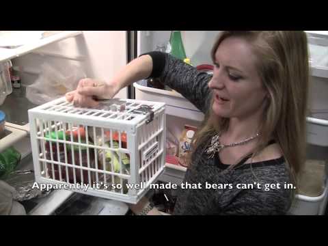 How To Catch A Food Thief