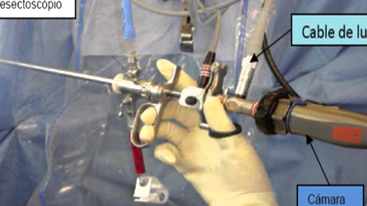 Fernando Ruiz Garcia-21