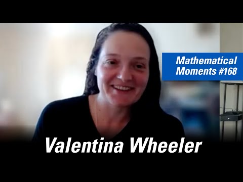 Explaining Wildfires Through Curvature | Mathematical Moments #168