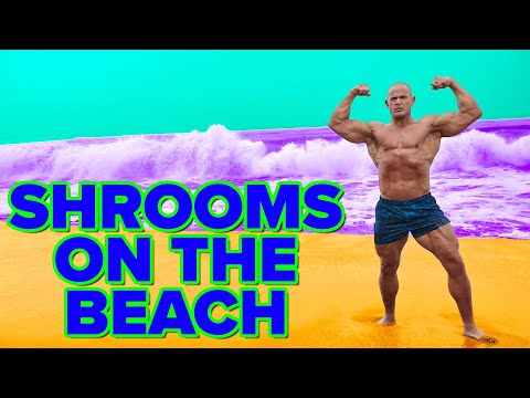Mushrooms On The Beach - Mark Bell