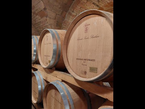 Cantina Santa Barbara di Stefano Antonucci