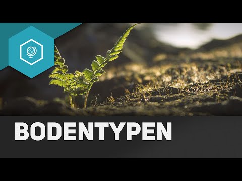 Was sind Bodentypen - Böden 5