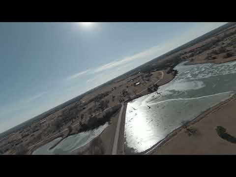 Goose dogfight with DJI FPV drone