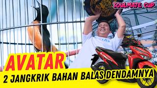 Download lagu AVATAR BALAS DENDAM ‼️ KURANGI JANGKRIK BIKIN JUARA 1 TIKET 3,2 Juta di Prasasti mp3