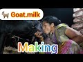 Viral Milk Making Vlog ️