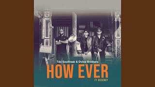 How Ever (feat. Decency) (Fatso 98 Dub Remix)