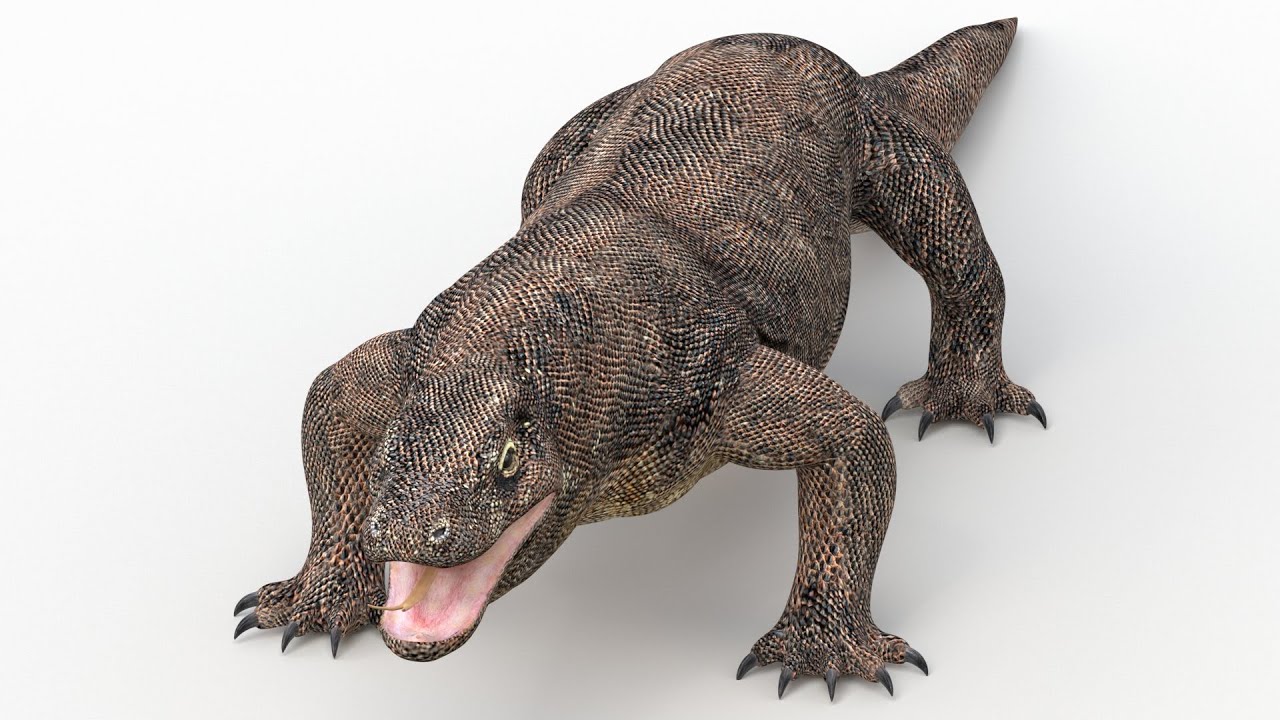 코모도 드래곤 3D 모델