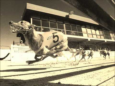 Swedish House Mafia vs. Prodigy - Greyhound In The Place