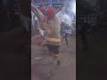Karadi Madan 2016 2