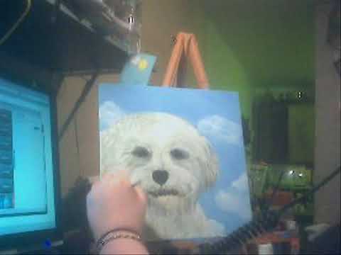 download lagu mp3 mp4 How To Paint A Bichon Frise, download lagu How To Paint A Bichon Frise gratis, unduh video klip How To Paint A Bichon Frise