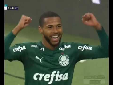 Vídeo do Palmeiras para status ,  o Palmeiras Ganhou Cala a boca secador