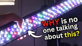 THE BEST BUDGET AQUARIUM LIGHT FOR PLANTED TANKS (no one talks about)