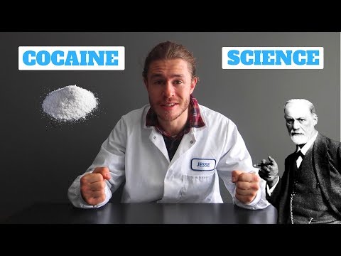 How Does Cocaine Work?