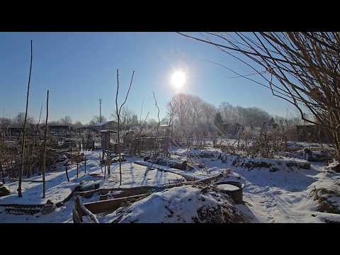 Frühlingserwachen: Erste Zeichen im Permagarten | Folge 331