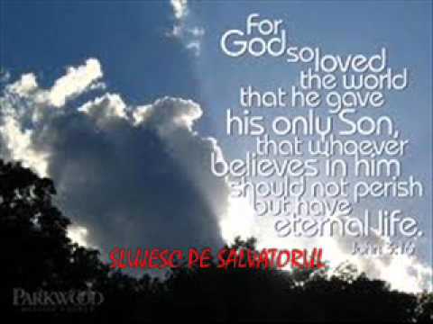 SLUJESC PE SALVATORUL - Ilie A Negru