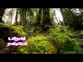 Uyire Uyire Song Love Failure Song Whatsappstatus Vairamuthu A R Rahman