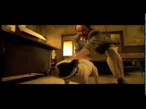 Torrente 2 -es un Rot Weiler