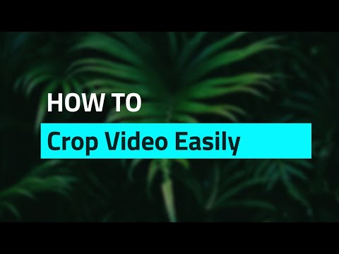 How to Crop a Video in VLC [Not Cut/trim] and Save It Permanently