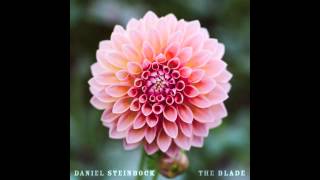 Daniel Steinbock - Blessing and A Curse (album version)