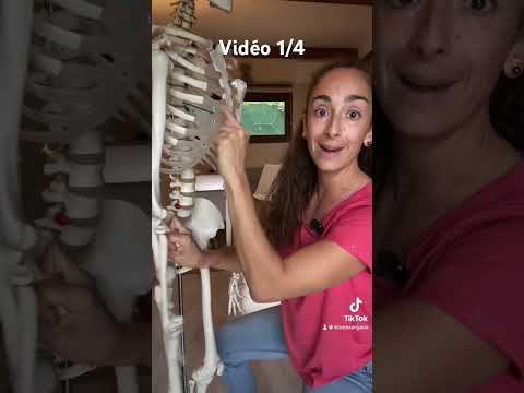 Douleur intercostale 1/4