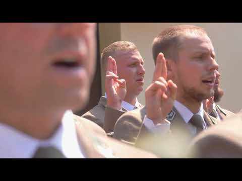 Jak zostać leśnikiem?