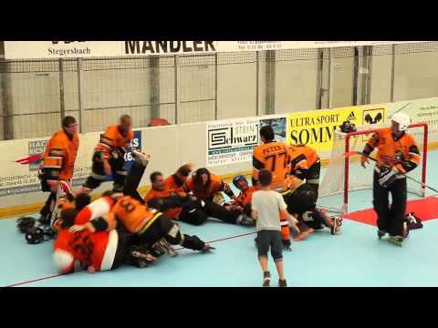 Szombathelyi Pingvinek -- ISHA Landesliga bajnokcsapat 2011. július 30.