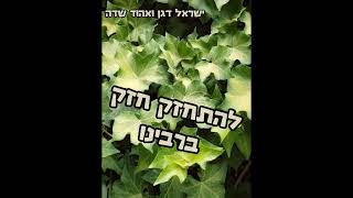 ר׳ ישראל דגן - להתחזק חזק ברבינו (ישראל דגן) - התמונה מוצגת ישירות מתוך אתר האינטרנט יוטיוב. זכויות היוצרים בתמונה שייכות ליוצרה. קישור קרדיט למקור התוכן נמצא בתוך דף הסרטון