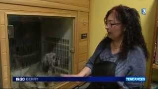 preview picture of video 'À Aubigny-sur-Nère, elle propose un véritable SPA pour les chiens'
