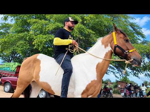 Feira de cavalo de Altinho Pe, 