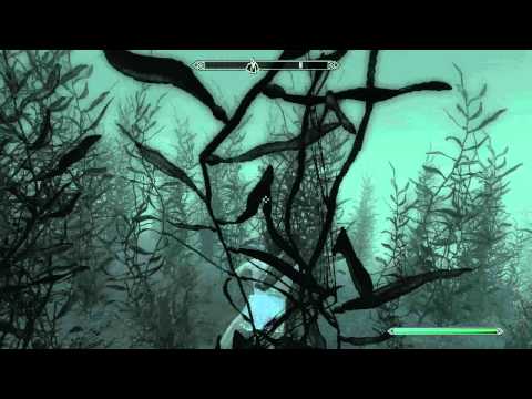 [81] Journey Through Skyrim - Episode 81