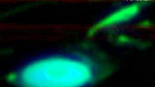 Dave Clark Live@Perfection (2003) . 10minutes