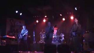 elvis costello tribute living in paradise