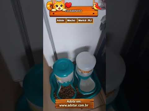 Vídeo de CHAMINHO