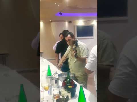 Vlada sile alex cergar  mikica tomin