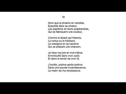 ASMR - Soft spoken poems in French