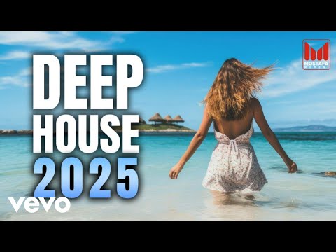 Mostafa Momeni - Warm Breeze 2025 [ Visualizer version ]