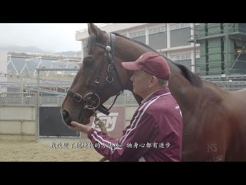 Hong Kong’s master miler - Beauty Generation and John Moore