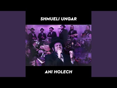 Ani Holech (feat. Freilach Band & The Shira Choir)