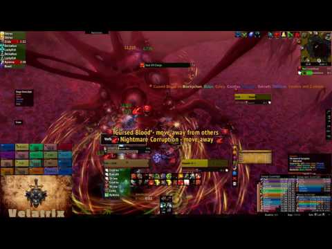 Infinity Project vs Il'gynoth Protection Warrior PoV