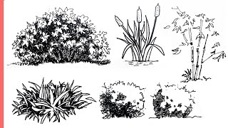 How to sketch BUSHES | Tutorial - For Beginners | Step by Step