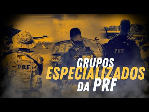Quais são os grupos especializados da PRF? 🤔