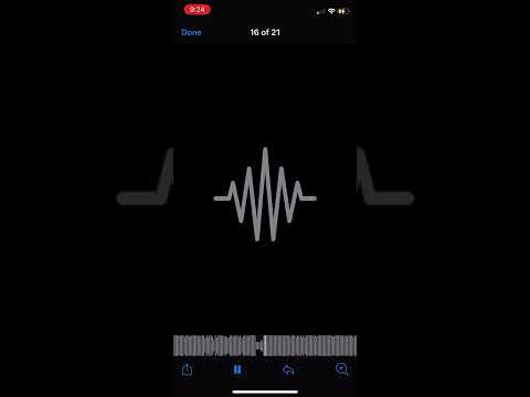 Bbg certi x Fredo bagz