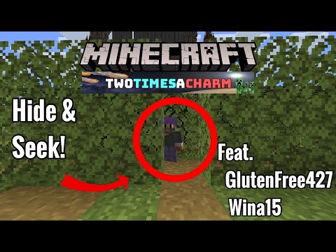 Minecraft SMP Hide and Seek with Jmoney, GlutenFree427, and Wina15!