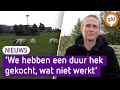 SCHAPENHOUDERS maken zich zorgen over WOLVENROEDELS