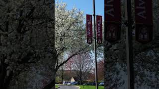🌱🌼🌿🌷 #spring #easter #collegecampus #campus #college #university