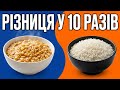 Scientific Ranking Of Grains By Nutritional Value